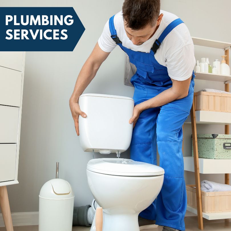 Plumbing Company in Lake Ann, MI
